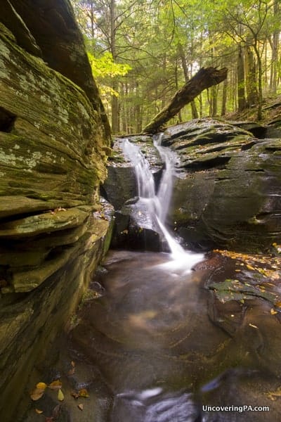 Upper East Branch Falls, Loyalsock State Forest of Pennsylvania