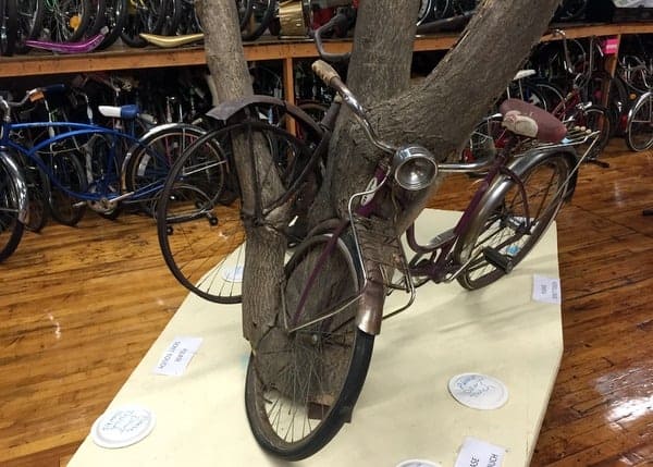 Bike Tree at Bicycle Heaven in Pittsburgh, Pennsylvania