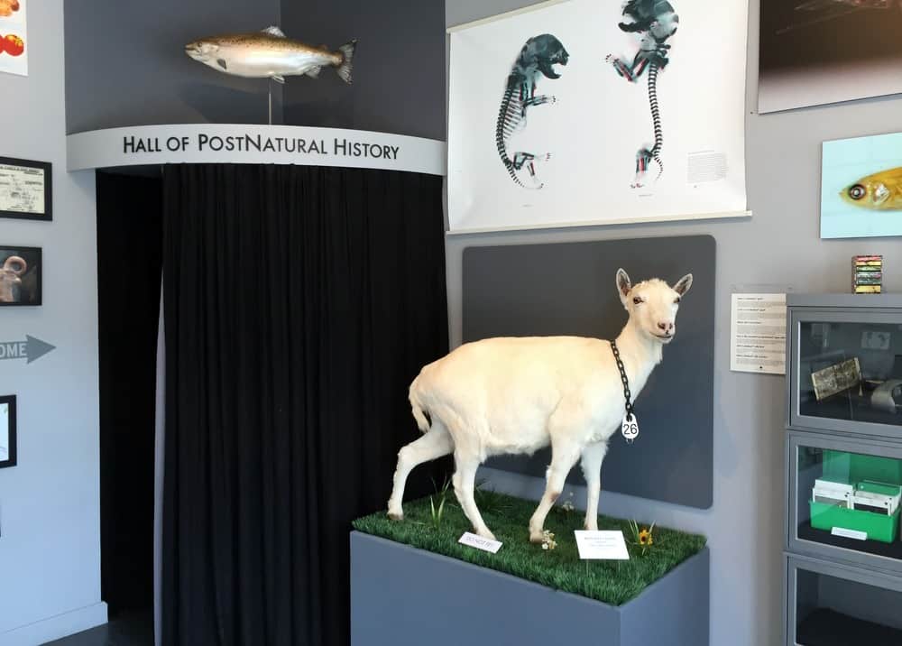 Free in Pittsburgh: The Center for PostNatural History
