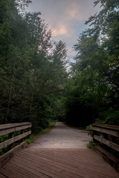 D&L Trail in Lehigh Gorge State Park