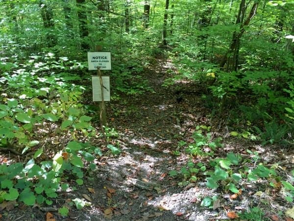 How to get to mill creek falls loyalsock state forest