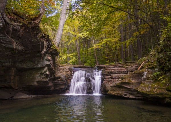 Mill Creek Falls in Loyalsock State Forest.