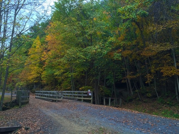 Pine Creek Rail Trail in Wellsboro, PA