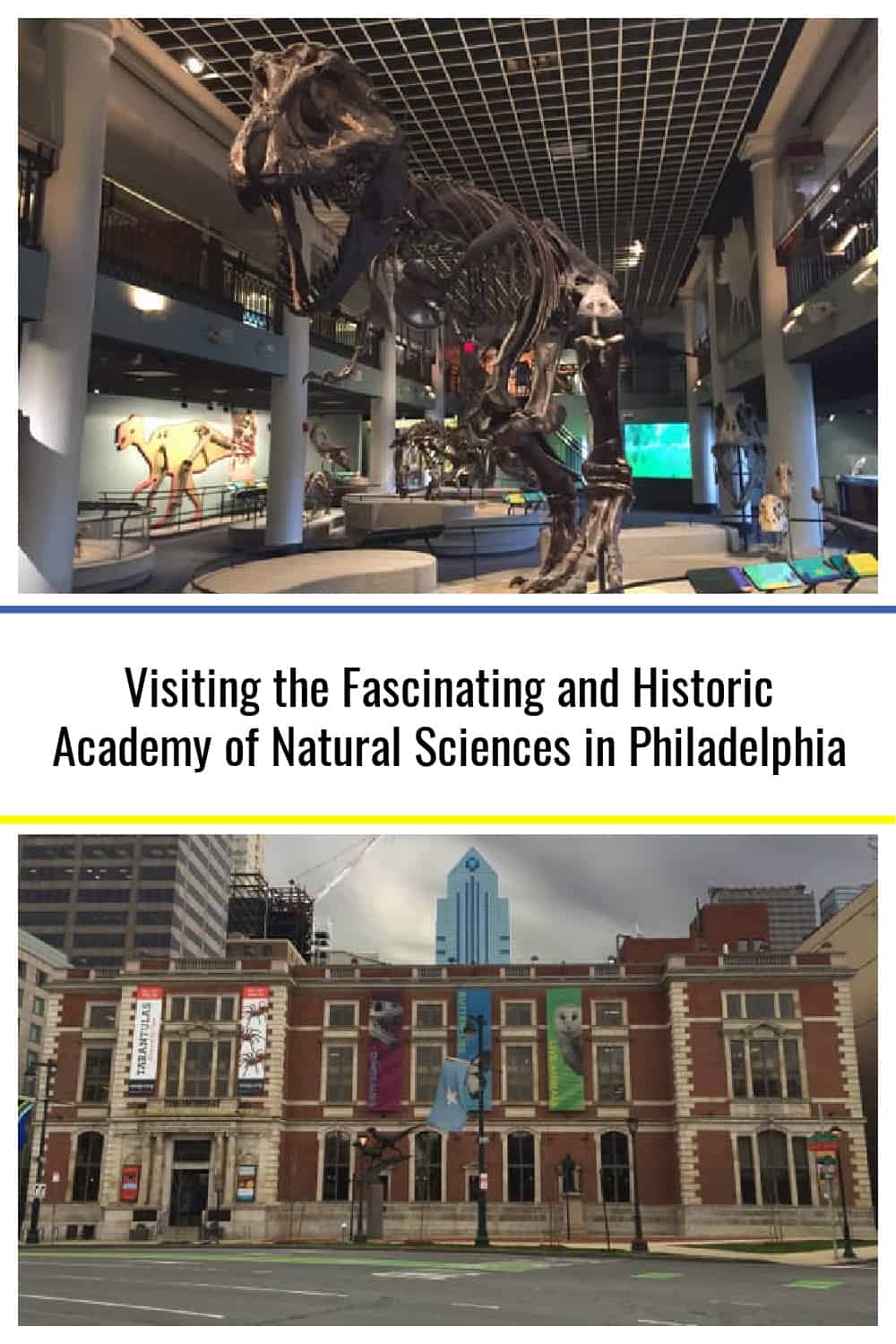 Visiting the Historic Academy of Natural Sciences in Philadelphia