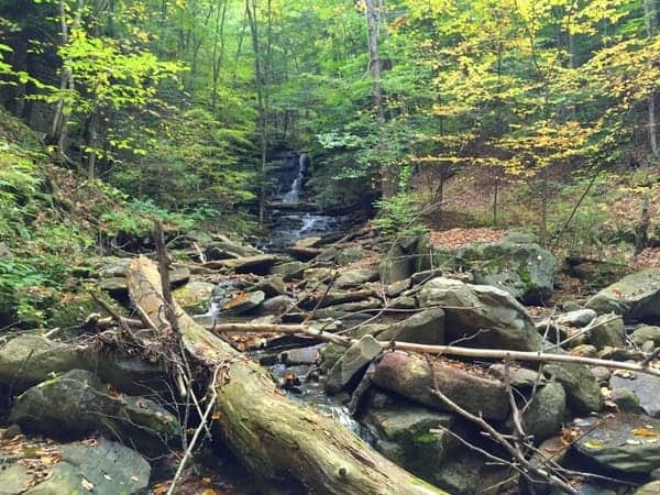 Hounds Run Falls in Loyalsock State Forest