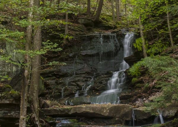 Hounds Run Falls in the McIntrye Wild Area Lycoming County, Pennsylvania