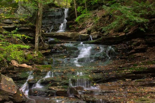 Hounds Run Falls in northern Lycoming County, PA