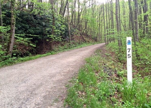 The GAP's halfway point is located in Ohiopyle State Park.