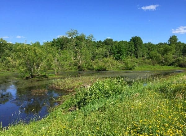 Hiking in the Erie National Wildlife Refuge