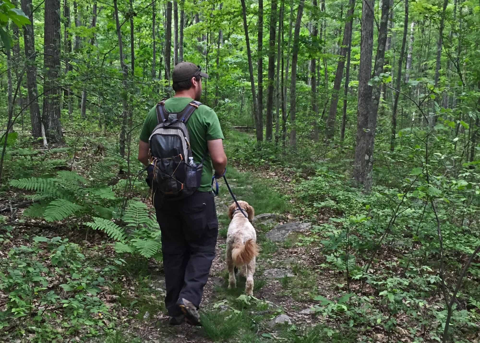 Hiking in Shuman Point Natural Area in Hawley, Pennsylvania