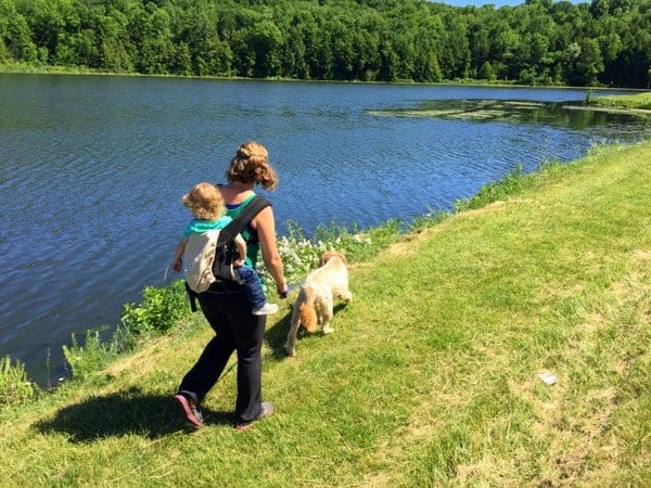 Hiking in Mount Pisgah State Park in Bradford County, Pennsylvania