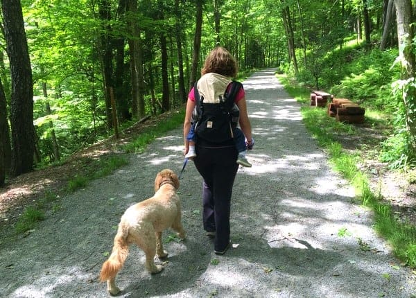 The Northern Electric Trolley Trail in Clarks Summit, PA.