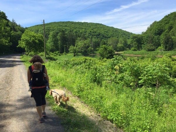 Walking the Pine Creek Rail Trail near Wellsboro, PA