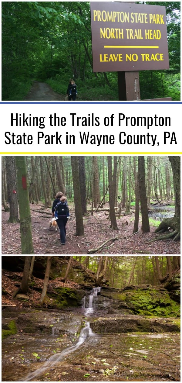 Hiking the Trails of Prompton State Park in Wayne County, PA ...