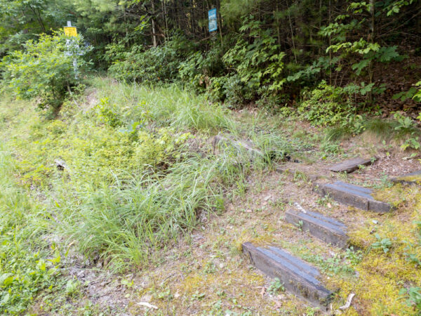 Trailhead at the Hoverter and Sholl Box Huckleberry Natural Area near New Bloomfield, PA.