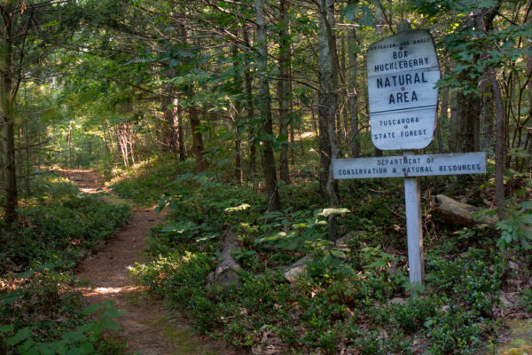 Sign in the Hoverter and Sholl Box Huckleberry Natural Area in New Bloomfield Pennsylvania