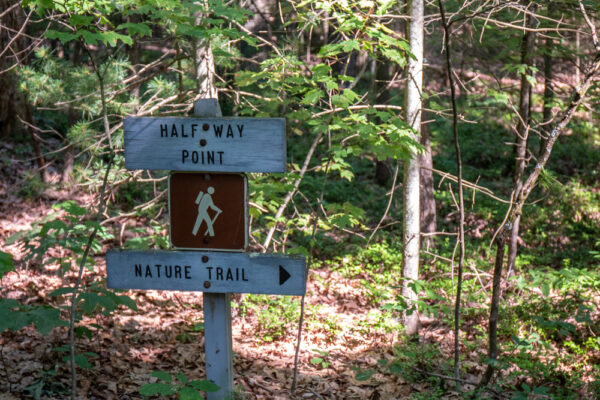 Trail marker at the Hoverter and Sholl Box Huckleberry Natural Area in Perry County PA