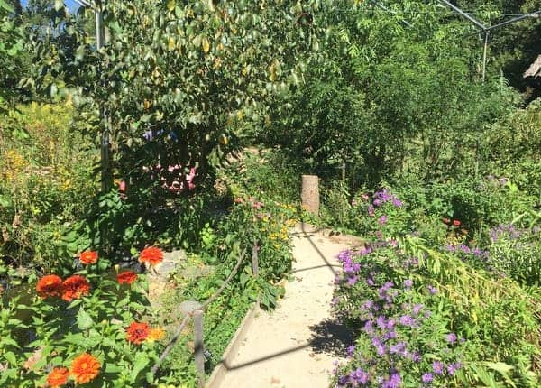 A garden at Tyler Arboretum in Delaware County, PA