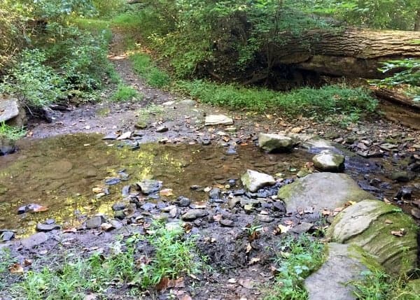 Hiking the trails of Tyler Arboretum.