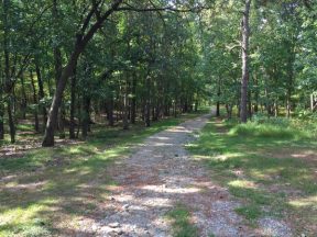 Hiking Through the Beautifully Unique Nottingham Serpentine Barrens of ...