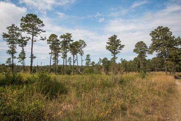 The Nottingham Serpentine Barrens make a great hiking day trip from Philadelphia