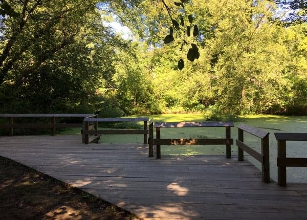 Visiting the Tyler Arboretum pond.