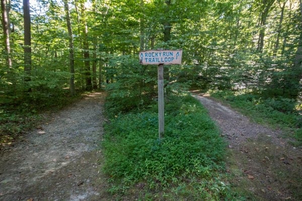 Hiking at Tyler Arboretum in Media, Pennsylvania