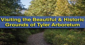 Visiting Tyler Arboretum in Media, Pennsylvania