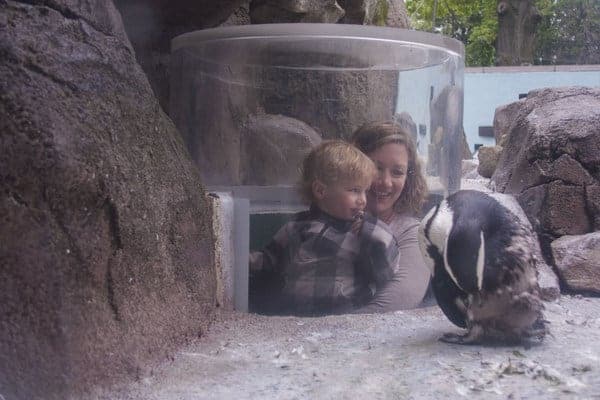 Visitors at Penguin Point in the National Aviary in Pittsburgh, Pennsylvania