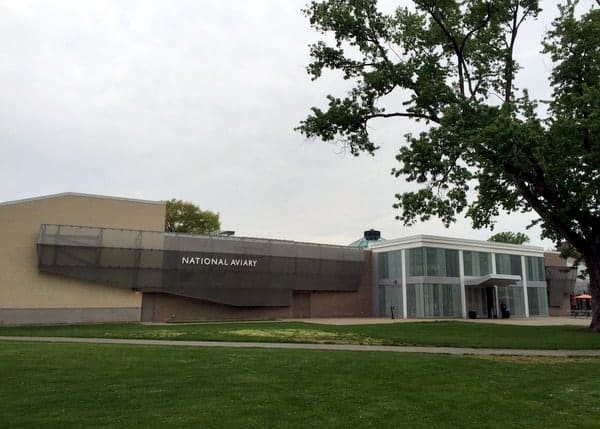 Visiting the National Aviary in Pittsburgh, PA