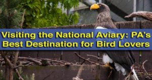 Visiting the National Aviary in Pittsburgh, Pennsylvania