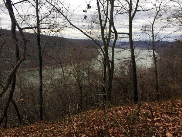 Susquehanna River from State Game Lands 181