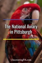 Visiting the National Aviary in Pittsburgh