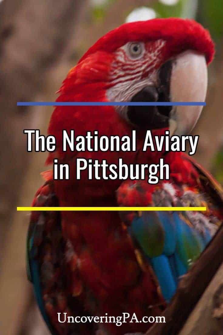 Visiting the National Aviary in Pittsburgh PA's Best Destination for
