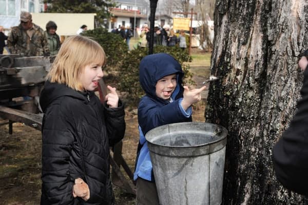 Things to do in Pennsylvania in April: PA Maple Festival