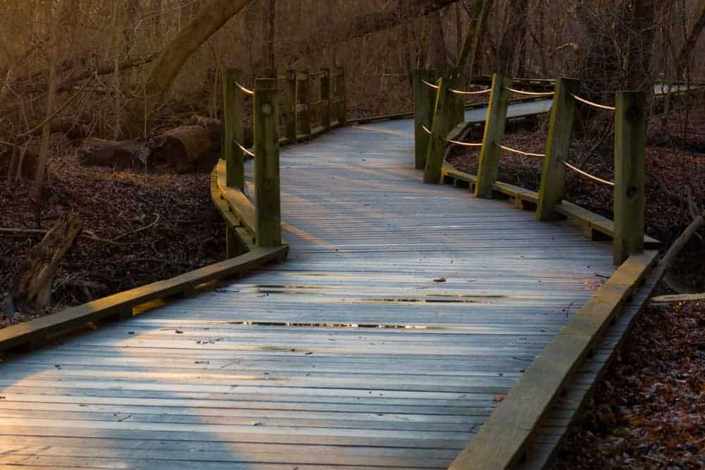 A wooden boardwalk winds its way through Harrisburg's Wildwood Park