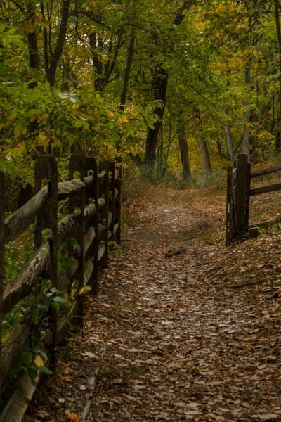 Wandern in Bartram's Garden in Philadelphia, Pennsylvania's Garden in Philadelphia, Pennsylvania