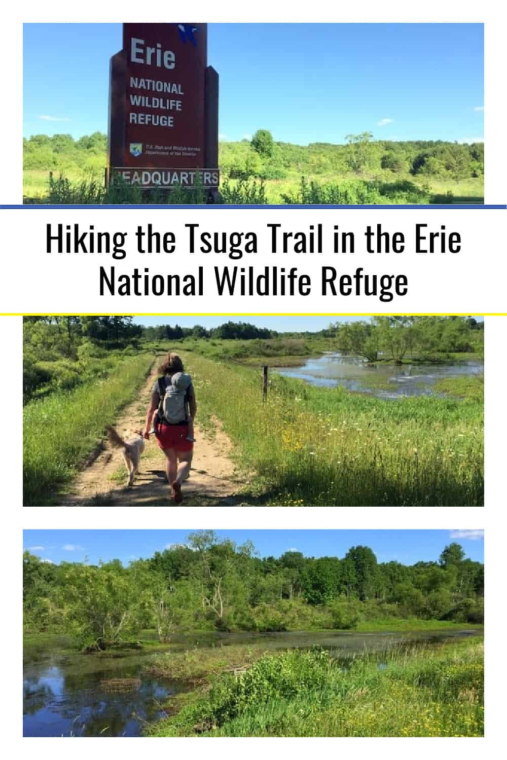 Hiking the Tsuga Trail in the Erie National Wildlife Refuge - Uncovering PA