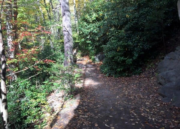Trail in Glen Onoko in Carbon County, PA