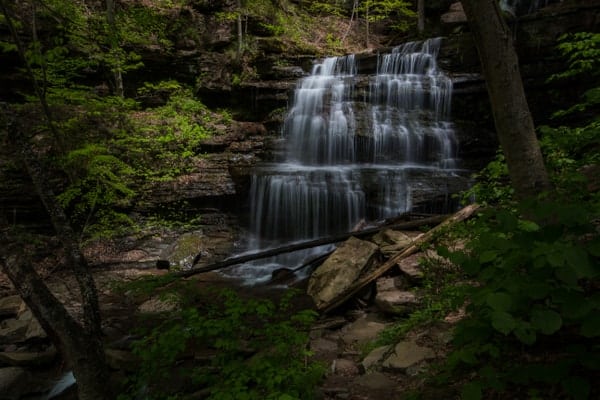 Best PA State Parks for Waterfalls