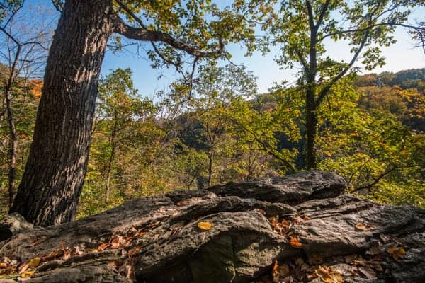 Soutěska Wissahickon Gorge je jedním z nejlepších míst pro pěší turistiku ve Filadelfii, PA