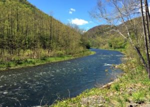 Tips for Biking the Pine Creek Rail Trail Through the Pennsylvania ...