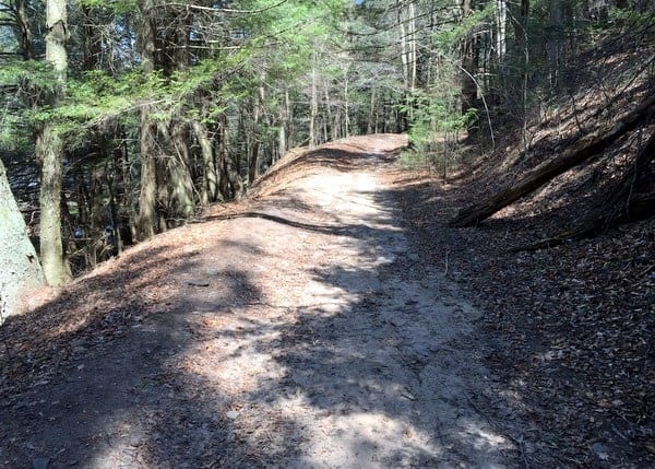 Where is the trail to Rattlesnake Falls in Pinchot State Forest, Pennsylvania