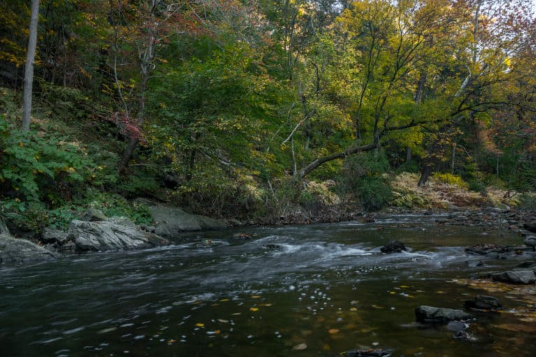 10 Fantastic Things to Do in Wissahickon Gorge in Philadelphia ...