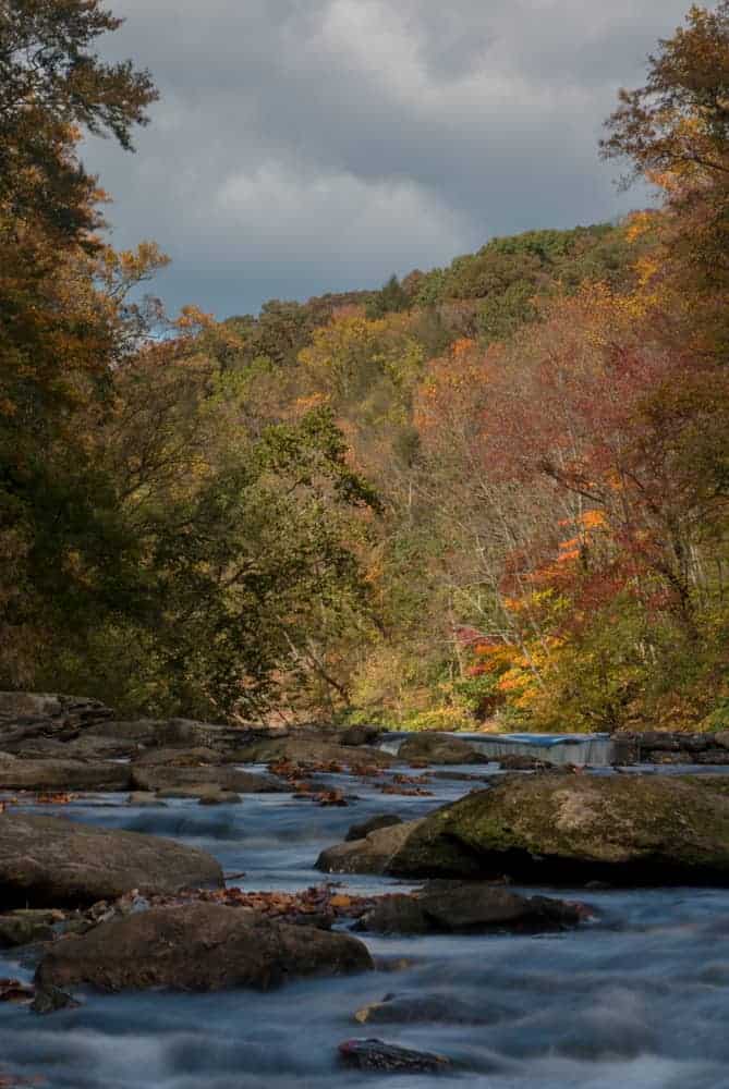 Forbidden Drive Hiking Trail - Philadelphia, Pennsylvania, USA