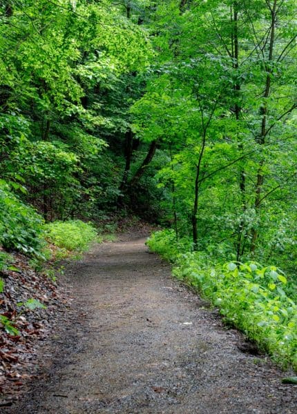 Trail to Fall Run Falls near Pittsburgh, Pennsylvania