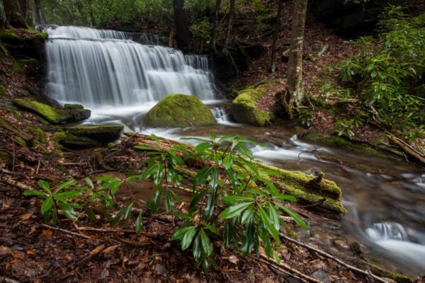 How to get to Yost Run Falls in Sproul State Forest