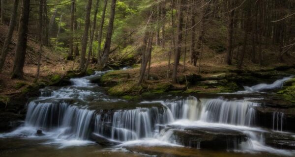 Babb Run Falls in Tioga State Forest in Pennsylvania