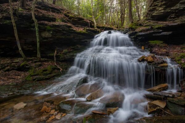 Waterfalls in Tioga County, Pennsylvania: Unnamed Waterfall Tioga State Forest