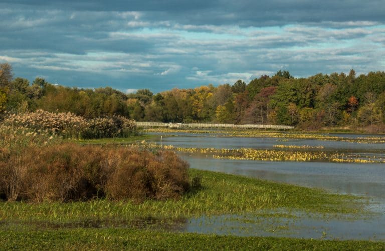 Hiking at John Heinz National Wildlife Refuge in Philadelphia ...